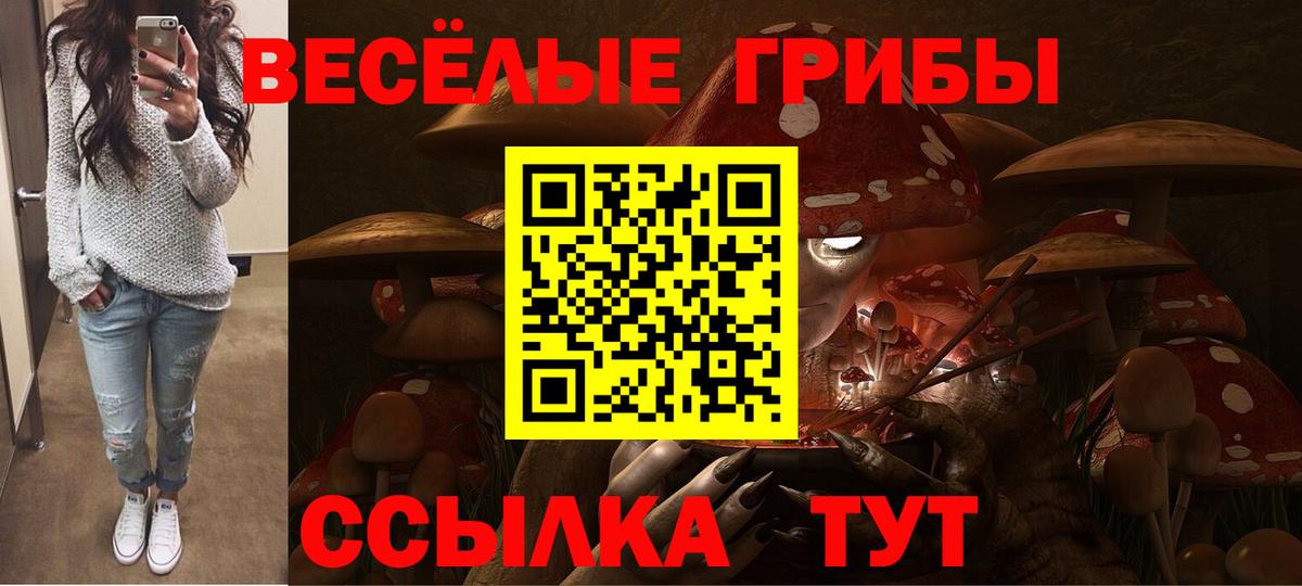 Псилоцибиновые грибы мухоморы  Галлюциногенные грибы мицелий  Сердобск  Вход с VPN 